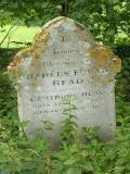 image of grave number 191829